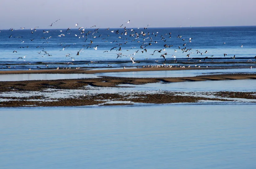 St Simons island beach