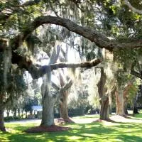 Oak Trees with Moss, St Simons Island Map, St Simons Island Beach, St Simons by the Sea, Little St Simons Island