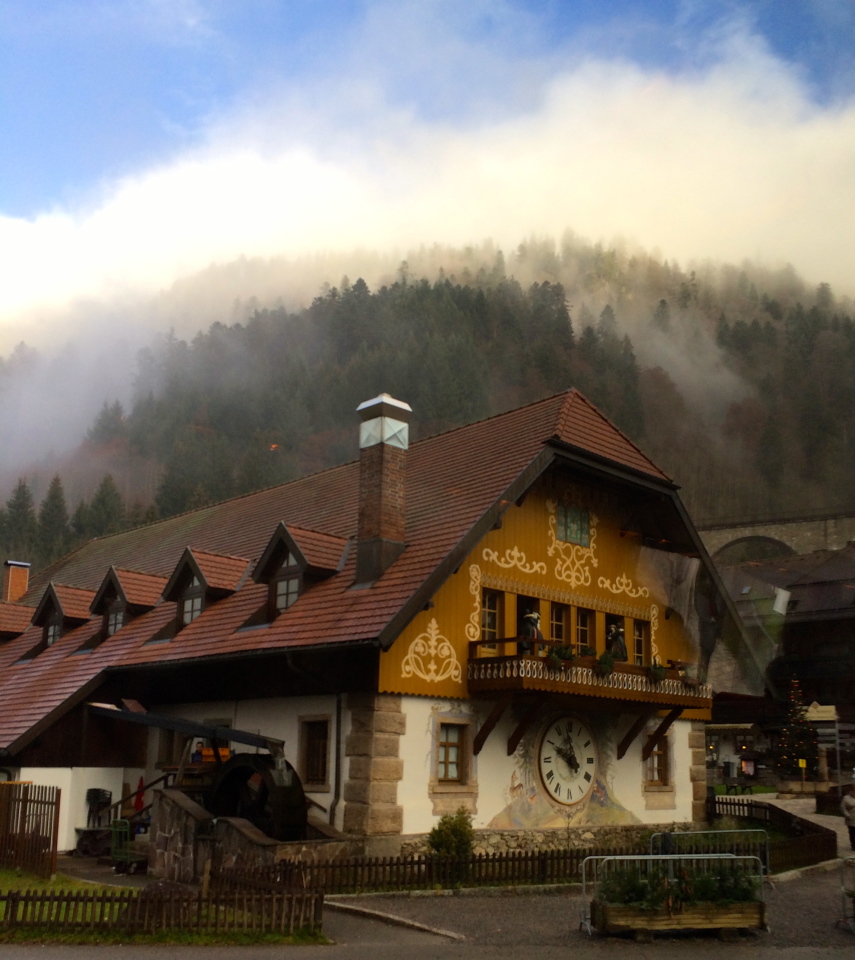 Black Forest, Germany (Schluvchsee), near Breisach, Germany