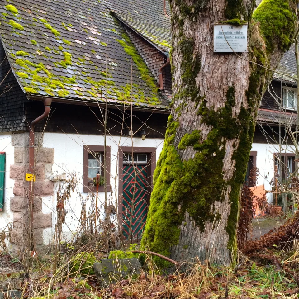 Black Forest, Germany (Schluvchsee), near Breisach, Germany