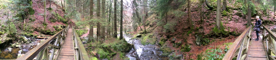 Black Forest, Germany (Schluvchsee)