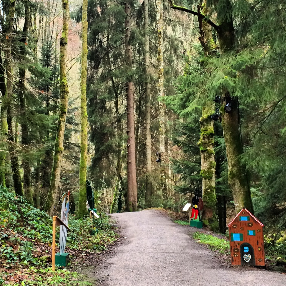 Black Forest, near Breisach, Germany