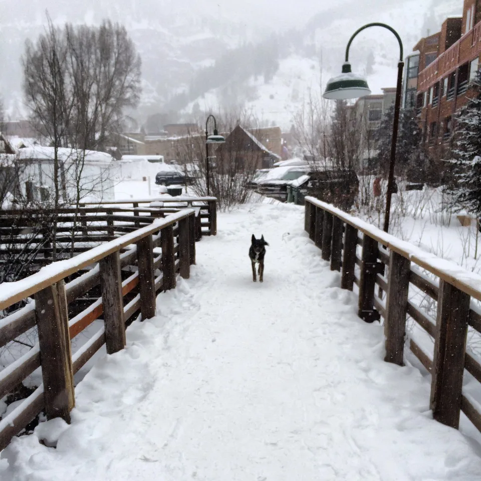 Telluride, CO