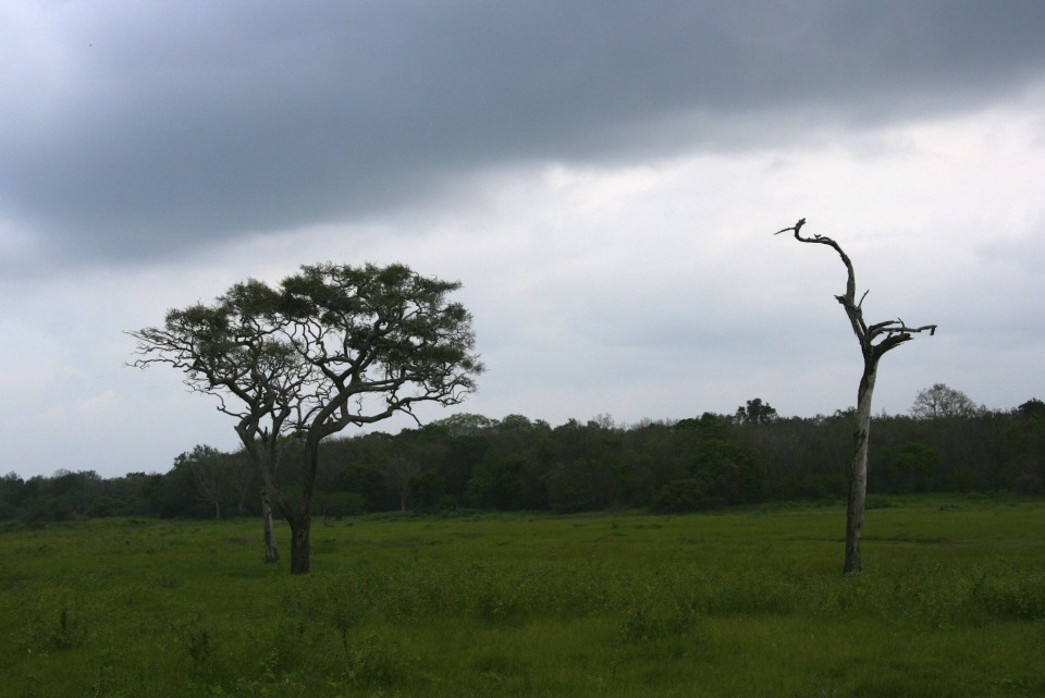 Elephant Safari, Elephant Safari Park