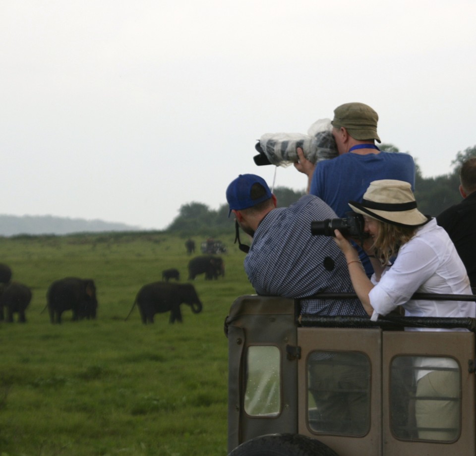 Elephant Safari, Elephant Safari Park