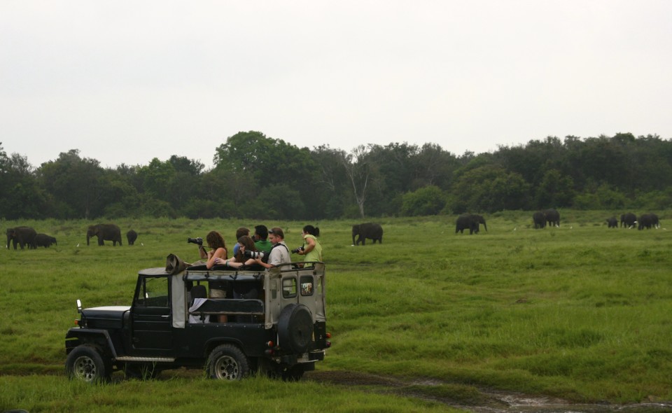 Elephant Safari, Elephant Safari Park