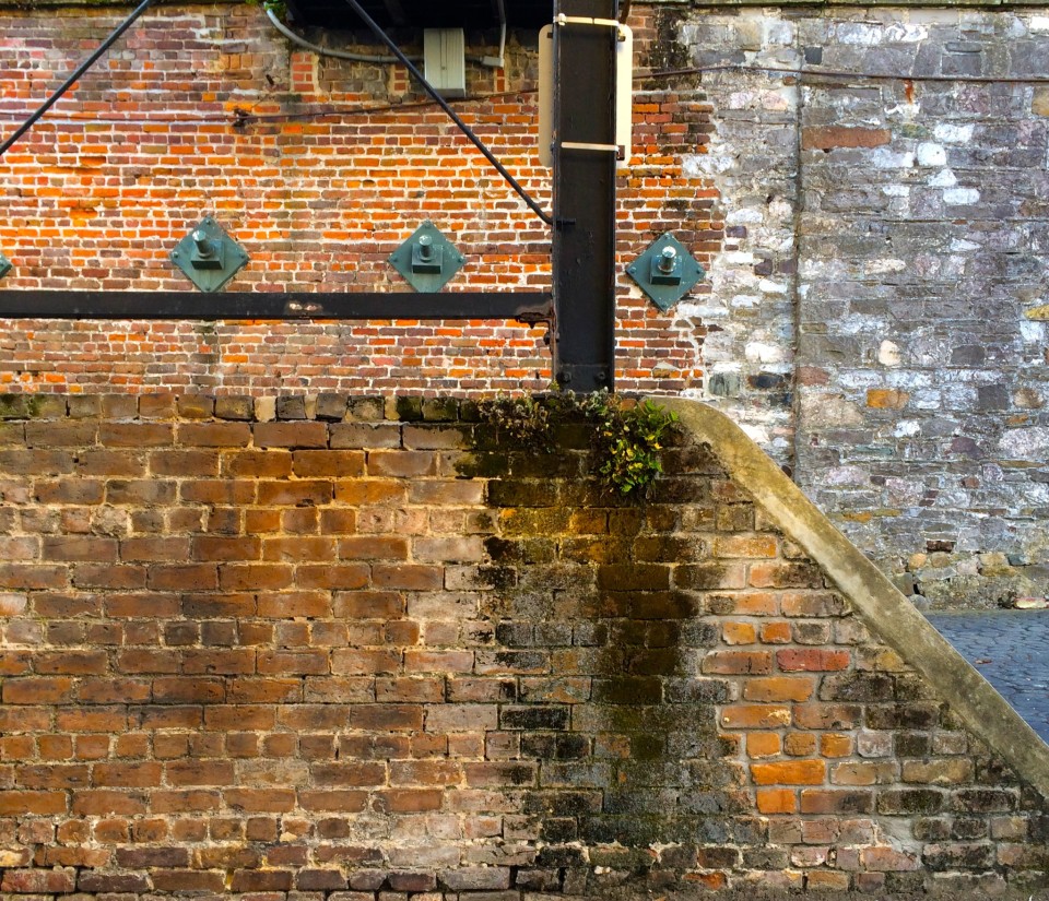 brick wall in Savannah GA, Things to do in Savannah GA, Things to do in Savannah, GA, things to do in Savannah