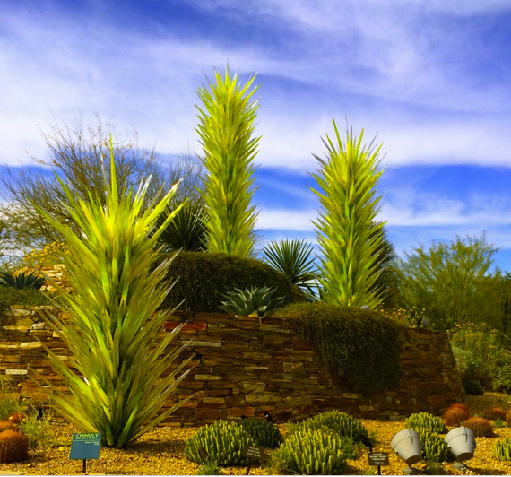 Desert Botanical Garden, Phoenix, AZ, Adventurous Things to Do in Phoenix