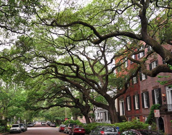 Things to do in Savannah, GA, things to do in Savannah