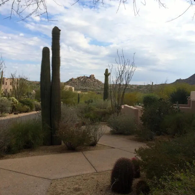 Four Seasons Scottsdale – Deep in the Heart