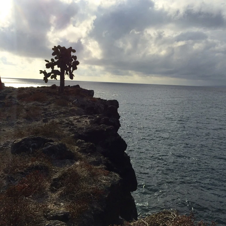 Through the eyes of a Galapagos Gringa