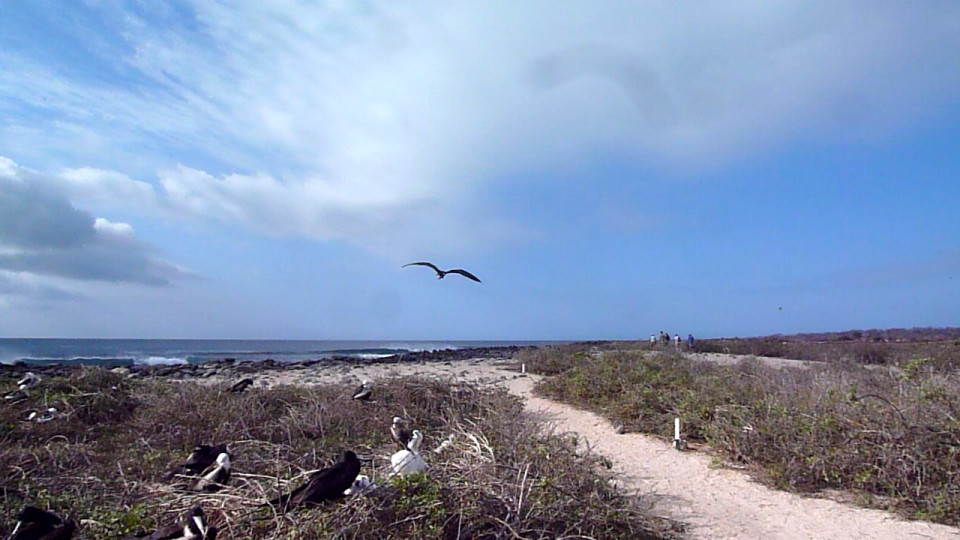 Through the eyes of a Galapagos Gringa