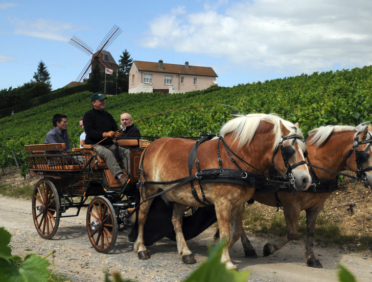 Uncorked and ready to go: La Champagne, France