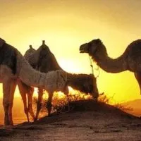 The Top Things To Do In Jordan, Wadi Rum