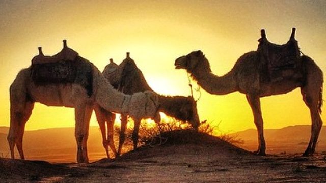 The Top Things To Do In Jordan, Wadi Rum