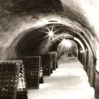 Tiny Bubbles in the Countryside of France: Champagne