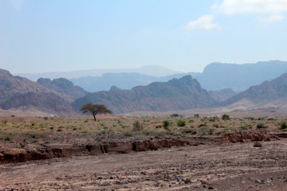 Feynan eco lodge, Feynan lodge, Jordan Holiday, Biosphere reserve, Dana Biosphere reserve, Dana Reserve #Jordan #ecolodge