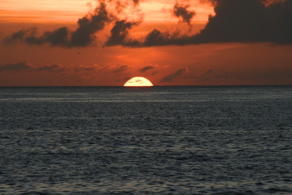 GALAPAGOS: ENCHANTING ISLANDS!