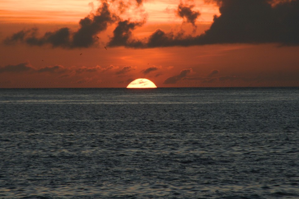 Ecoventura: What Is It Really Like on a Galapagos Cruise