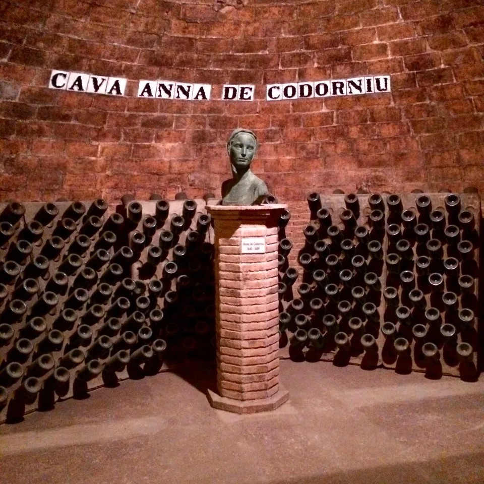 Exclusive Luxury Cava and Wine Tour In Spain