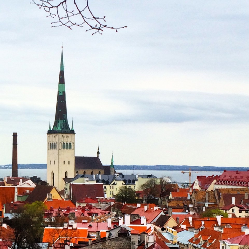 Tallinn Old Town, Time in Tallinn, Talon Guide, one day in Tallinn, Estonian Food