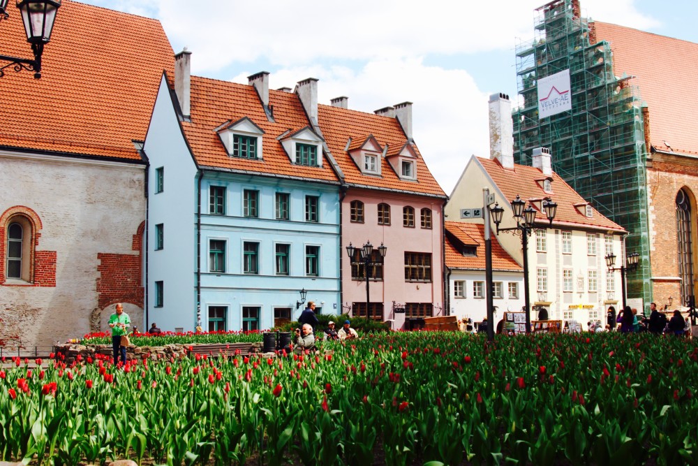 The Bremen Town Musicians Statue - Riga, Lativa