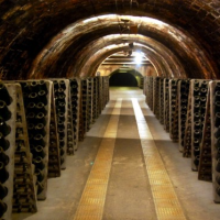 Exclusive Luxury Cava and Wine Tour In Spain
