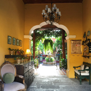 Things to do in Guatemala, Fruit plate in elegant Antigua, Antigua Guatemala things to do, man and zebra in antigua, antigua guatemala things to do, best hotels in Antigua Guatemala