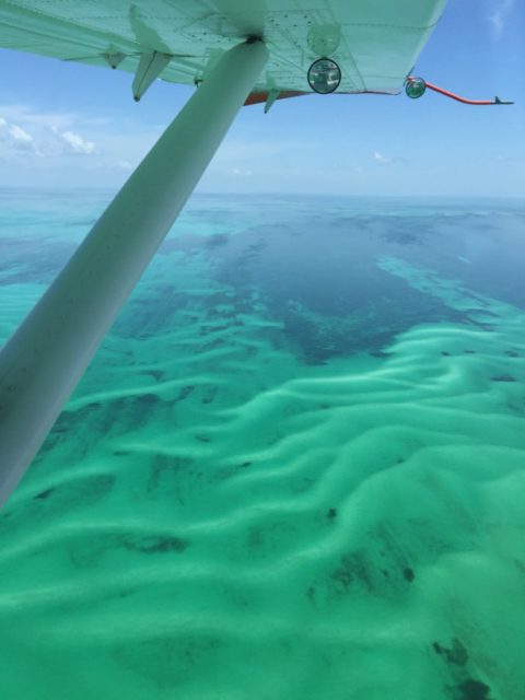 Fort Jefferson, dry tortugas National Park, #FortJefferson #DryTortugas #Florida