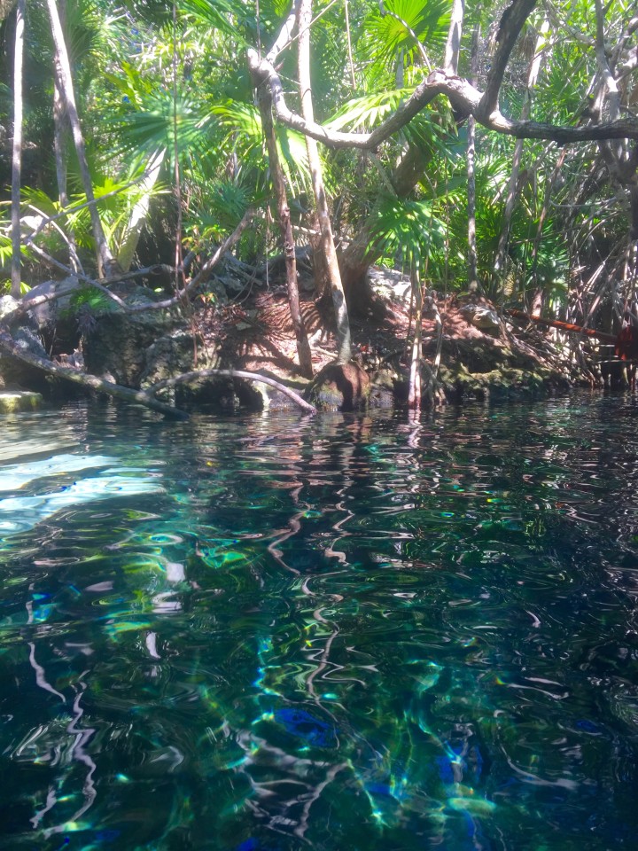 Xel Ha, Xel Ha Mexico, Xcaret Park, xel ha Tulum, excursions Riviera Maya 