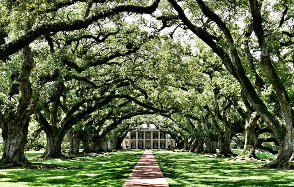 Things to do in New Orleans, French Quarter #New Orleans #Louisiana