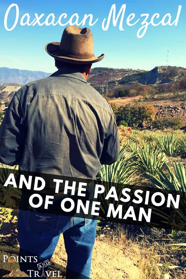 Oaxacan Mezcal and the Passion of One Man
