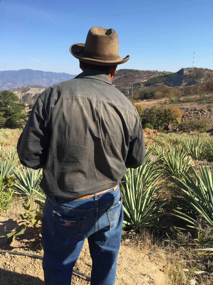 Oaxacan Mezcal and the Passion of One Man