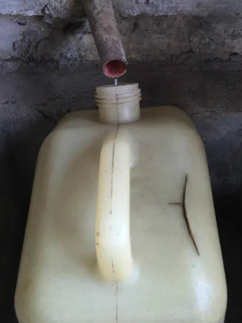 Oaxacan, mezcal, agave plant, maguey plant