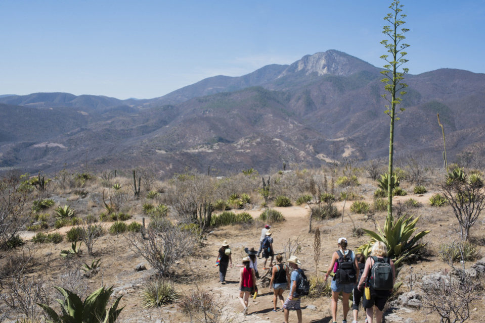 hierve el agua oaxaca petrified waterfall oaxaca hierve el agua, mexico #HierveElAgua #Oaxaca #Mexico