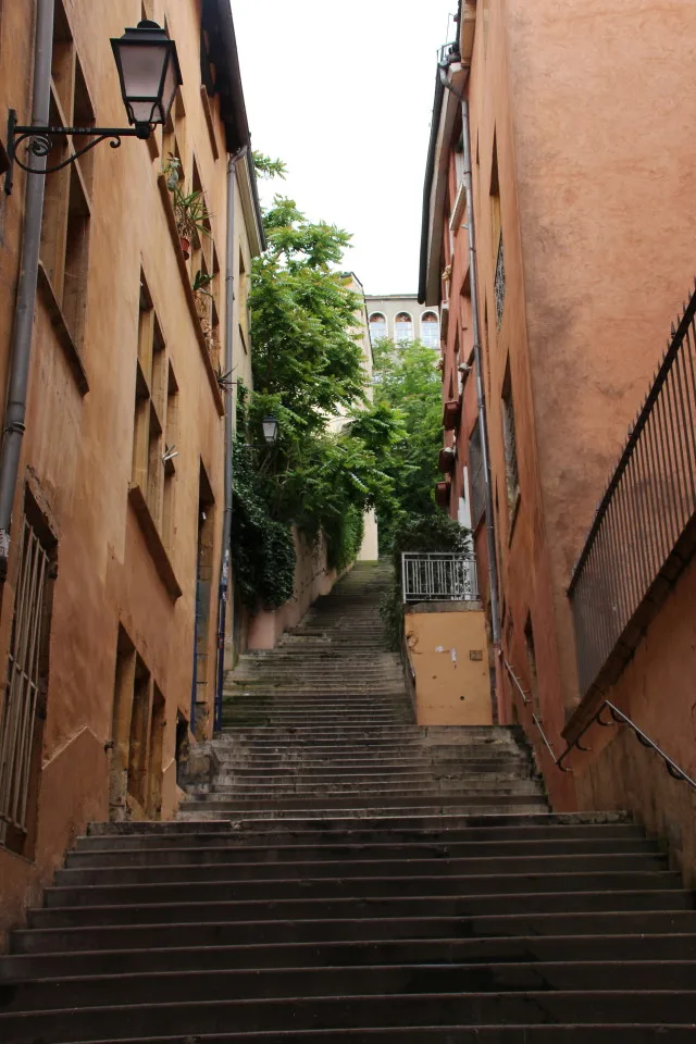 Southern France, Viking Tours, French flowers, Lyon street scene, My Viking Journey