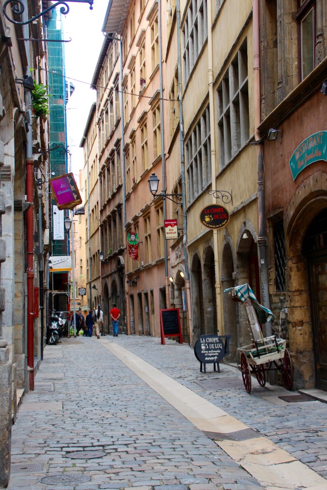 Southern France, Viking Tours, French flowers, Lyon street scene, My Viking Journey