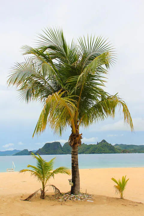 Palawan, Philippines, El Nido Resorts, Palawan El Nido, Palawan El Nido, Palawan Resorts, Philippines Tourism, palm trees