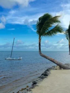 The Classic American Road Trip, Florida Keys #Florida #Floridakeys, beaches in Florida close to Louisiana
