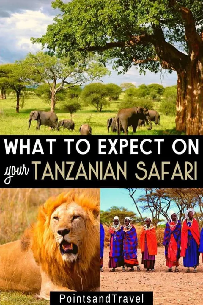 What to expect on a Safari in Tanzania Africa, Seduced by the Serengeti, Africa, African Safari, the Serengeti, #AfricanSafari #Safari #Tanzania