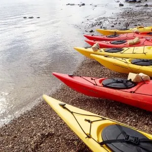 Dreams about Whales, beluga whales, churchill canada, churchill manitoba, artic adventures, baluga, kayak, sea kayaking, crazy things to do in Tulum Mexico