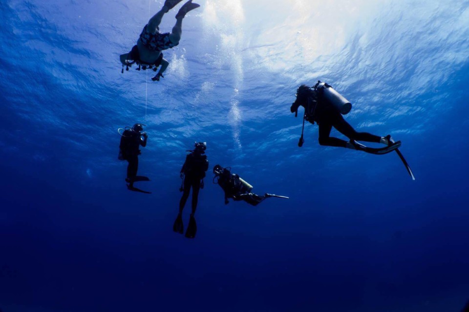 Come along with me as I prepare to go to wonderful Indonesia! From sand boarding to surfing to scuba diving and everything in between. Wakitobi, Indonesia, Wonderful Indonesia