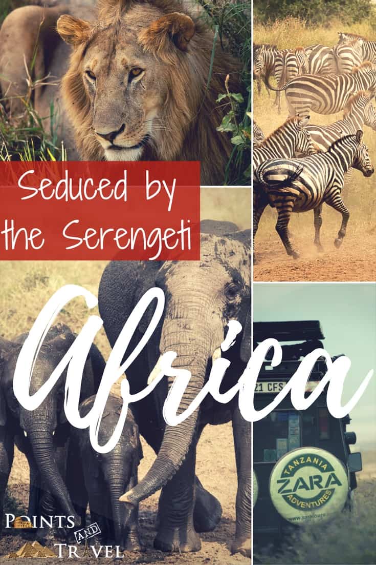 Seduced by the Serengeti, Africa, African Safari, the Serengeti