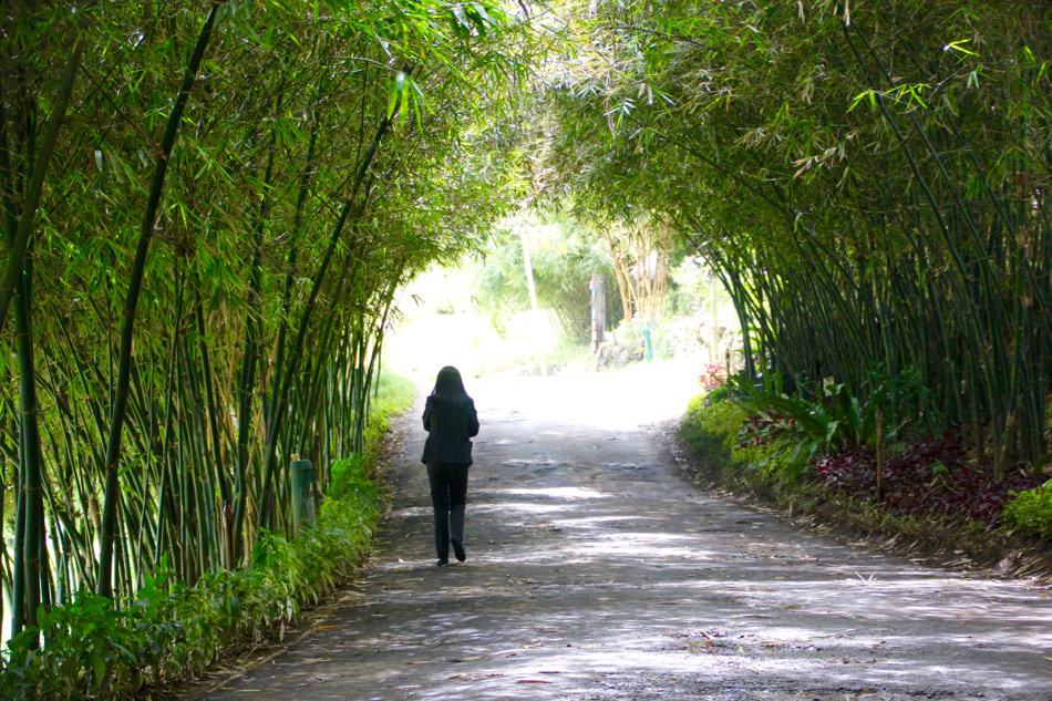 Take a wild ride off-roading as you travel Bandung, Indonesia for the thrill of your life! Travel Bandung, Bandung Attractions, Bandung Tourist Attractions, Dusun Bambu, Bandung, Indonesia