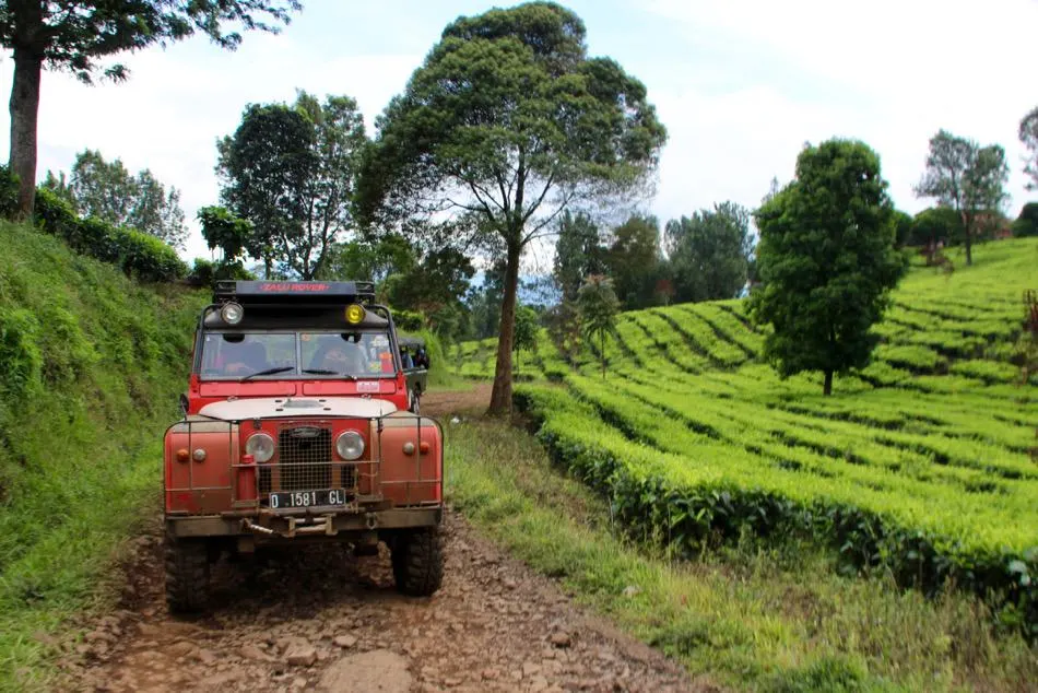 Take a wild ride off-roading as you travel Bandung, Indonesia for the thrill of your life! Travel Bandung, Bandung Attractions, Bandung Tourist Attractions, Dusun Bambu, Bandung, Indonesia