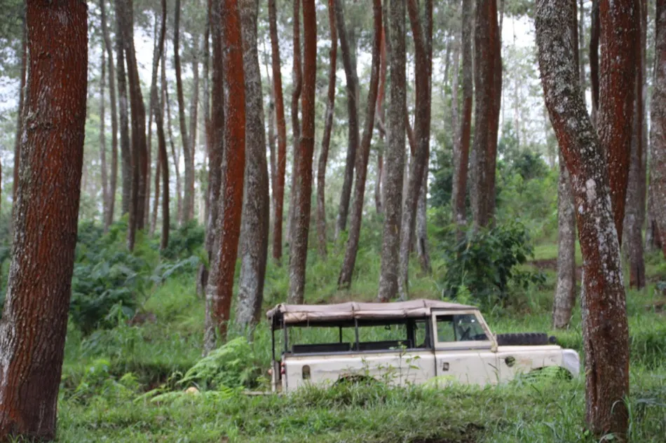 Take a wild ride off-roading as you travel Bandung, Indonesia for the thrill of your life! Travel Bandung, Bandung Attractions, Bandung Tourist Attractions, Dusun Bambu, Bandung, Indonesia