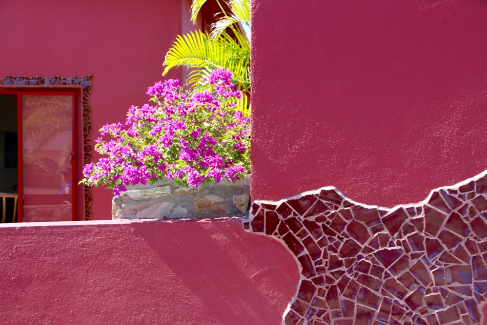 Come along with me as I explore Hotel California Todos Santos, I am living it up at the Hotel California!