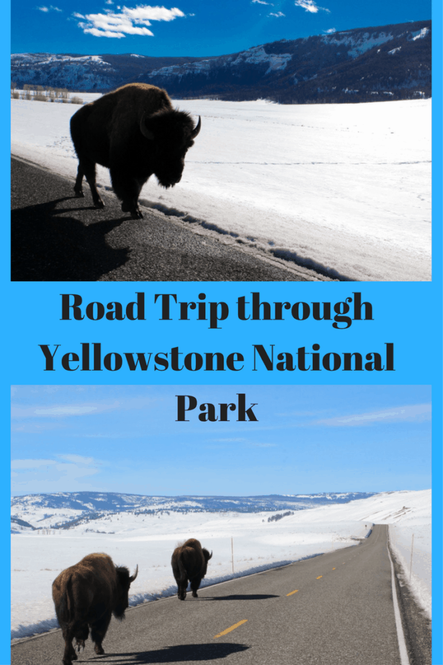 road trip yellowstone blog
