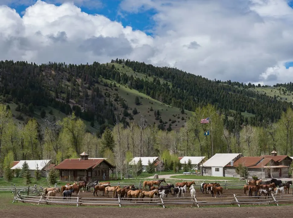 Come along with travel writer Donnie Sexton as she explores The Ranch at Rock Creek, Montana and finds her slice of Heaven!