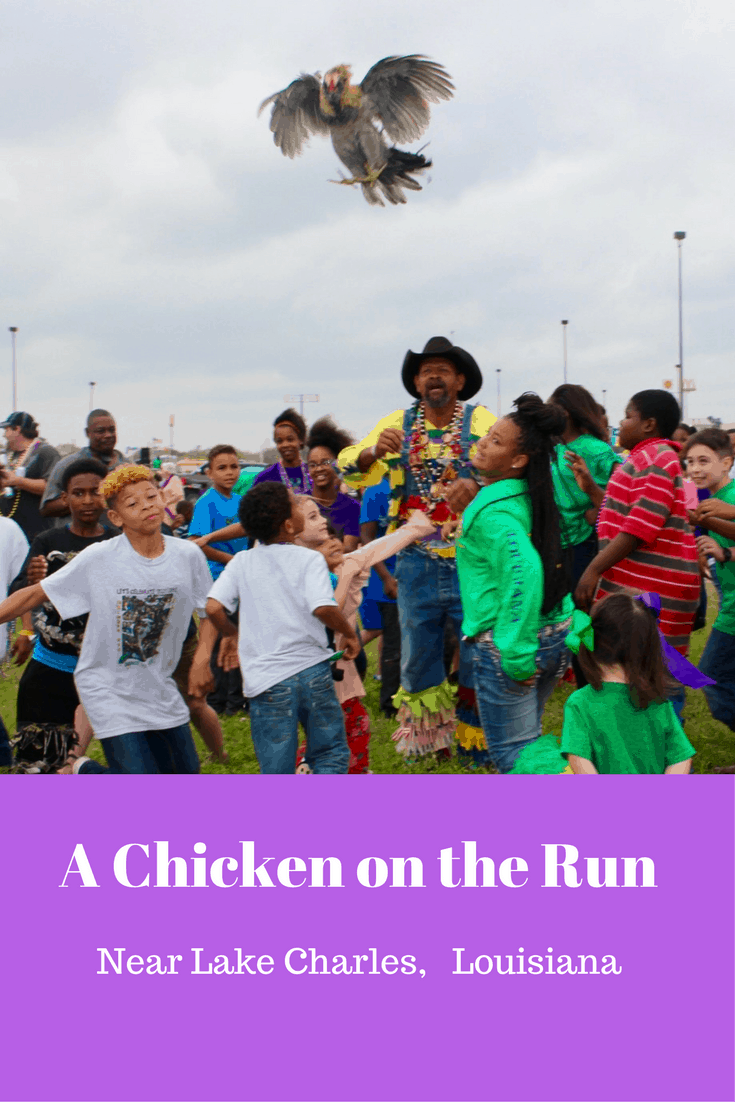 Have you ever seen a chicken on the run? Near Lake Charles, Louisiana you will find one or two in the Iowa Chicken Run!